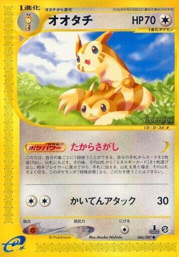 Furret 066