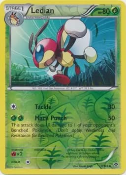 Ledian Reverse Holo