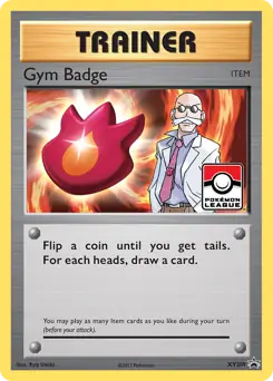 Gym Badge XY209 Normal