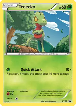 Treecko XY36 Normal