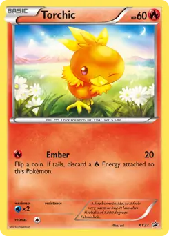 Torchic XY37 Normal