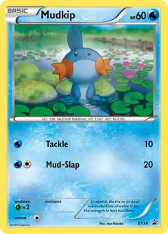 Mudkip XY38 Normal