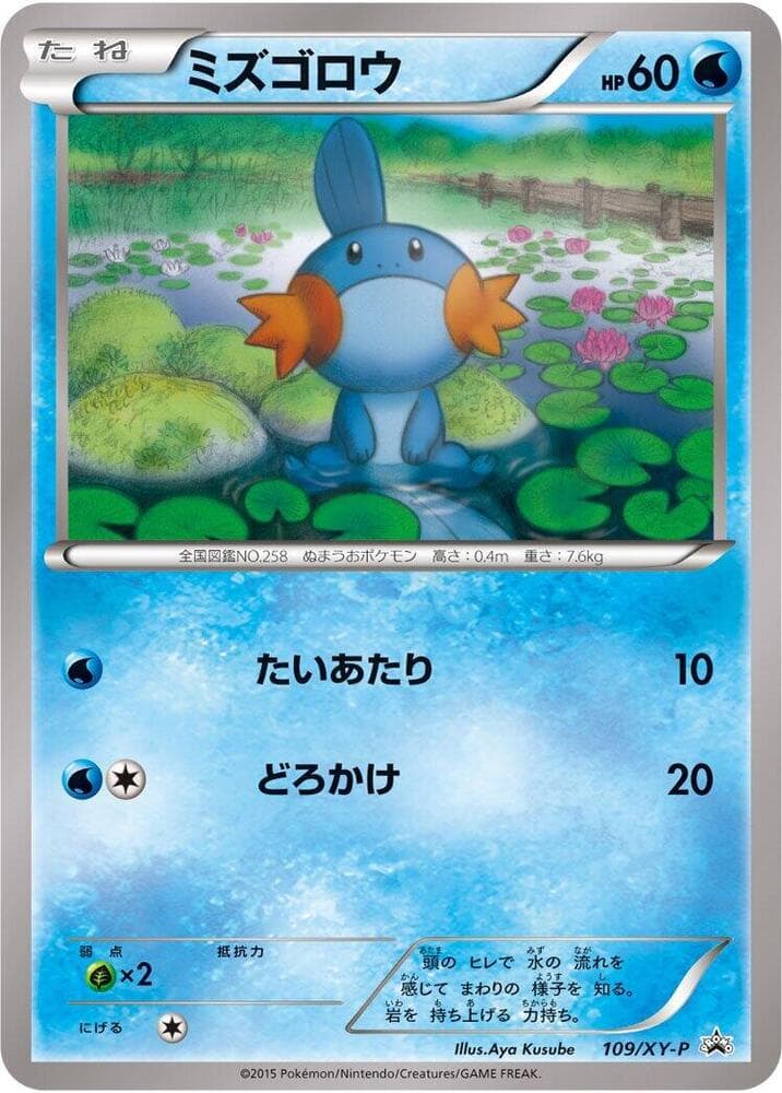 Mudkip 109