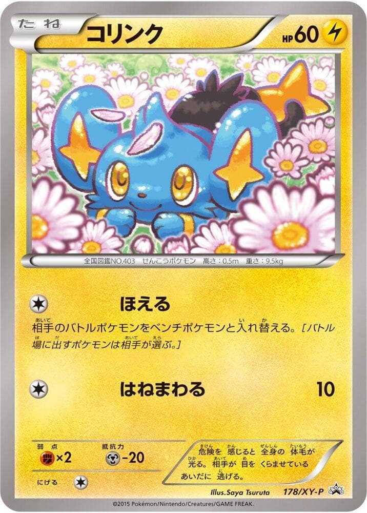 Shinx 178 Normal