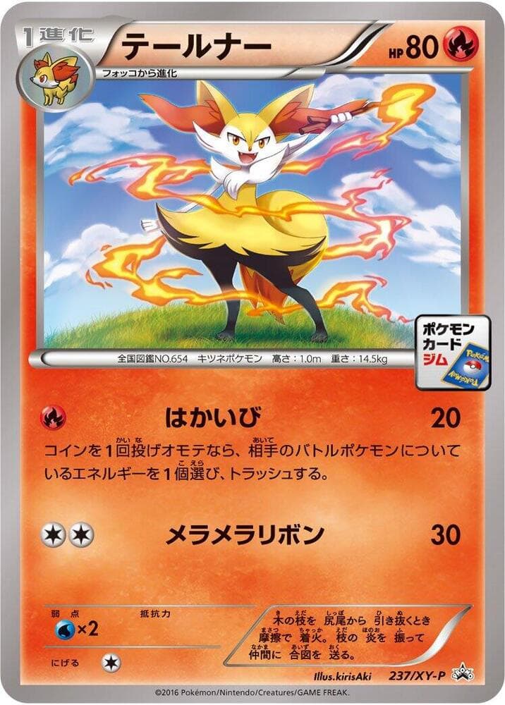 Braixen 237