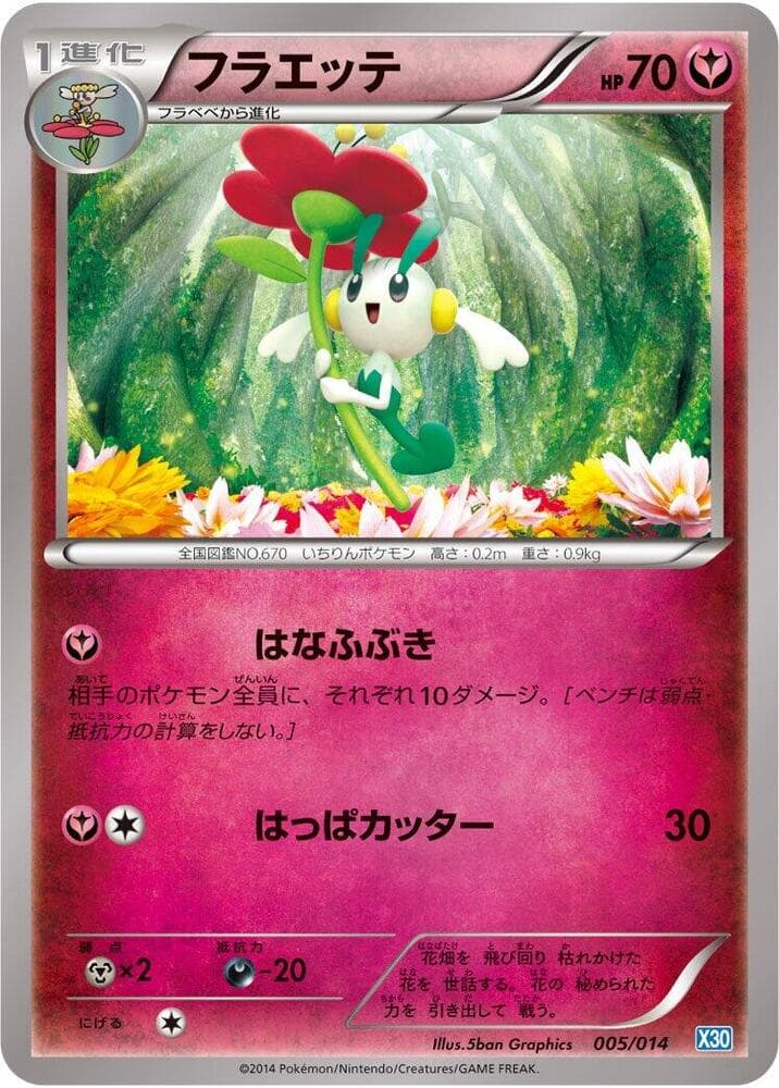 Floette 005