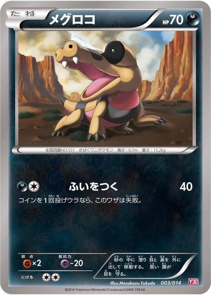 Sandile 003
