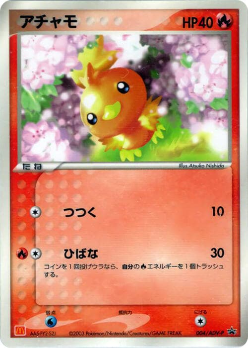 Torchic 004