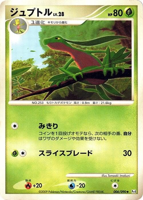 Grovyle 006