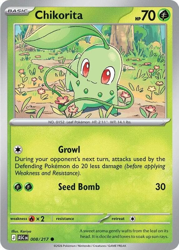 Chikorita 008 Normal