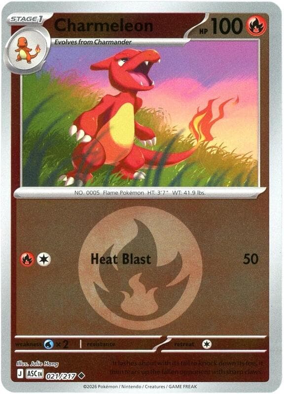 Charmeleon Energy Symbol Pattern 021 Normal