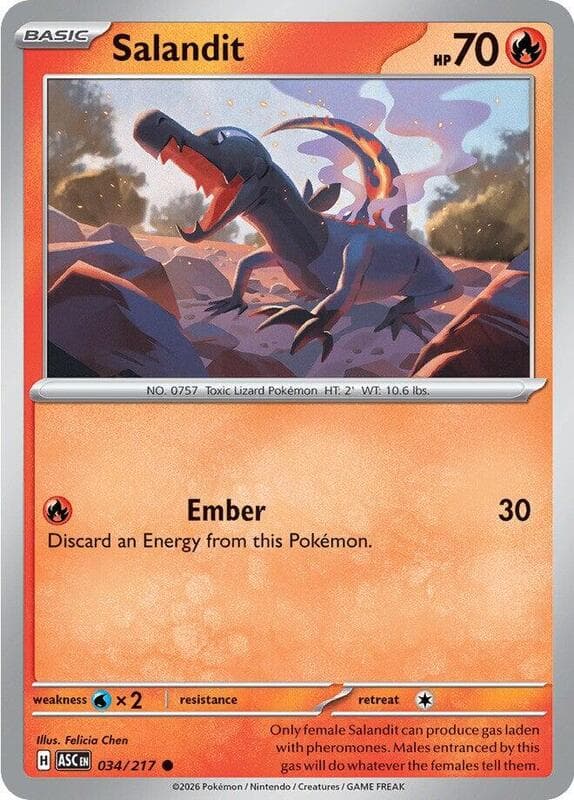 Salandit 034 Normal