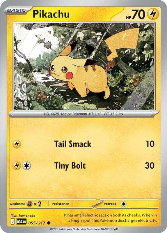 Pikachu 055 Normal
