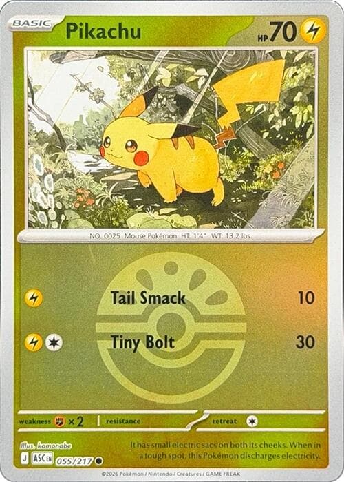 Pikachu Friend Ball 055 Normal