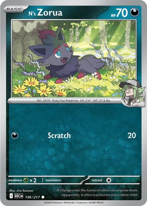 N's Zorua 136 Normal