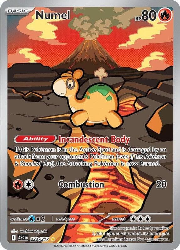 Numel 223 Normal