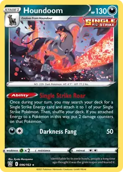 Houndoom Holo 096