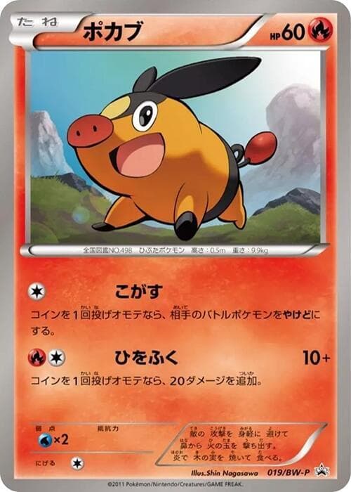 Tepig 019