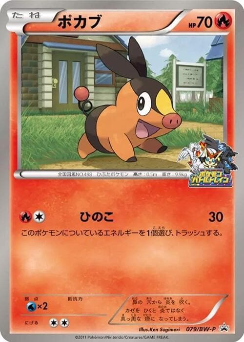 Tepig 079 Normal