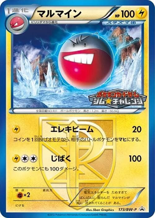 Electrode 173 Normal