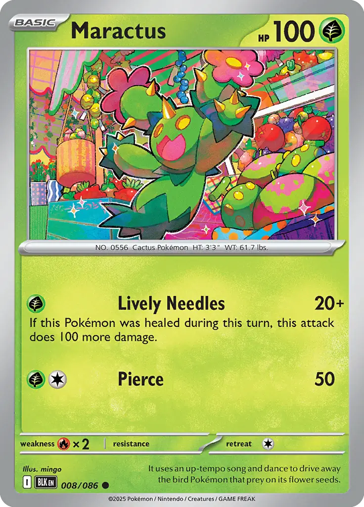 Maractus 008 Normal