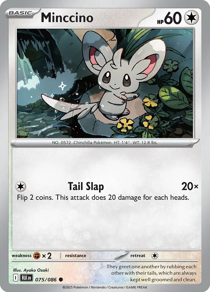 Minccino 075 Normal
