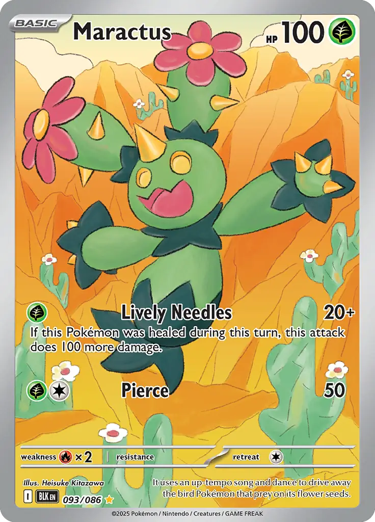 Maractus 093 Normal