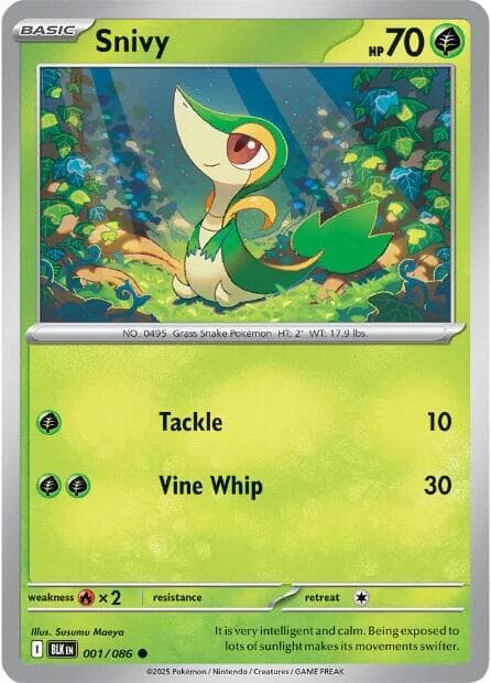 Snivy 1 Holo