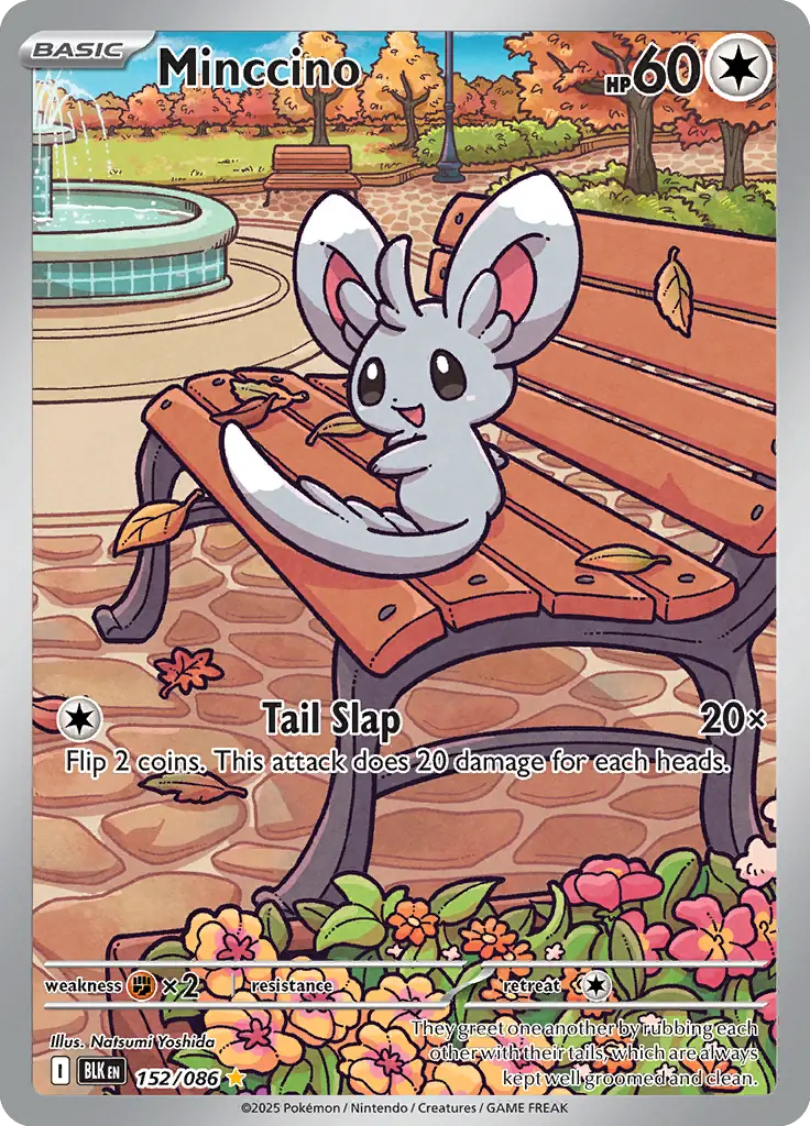 Minccino 152 Normal