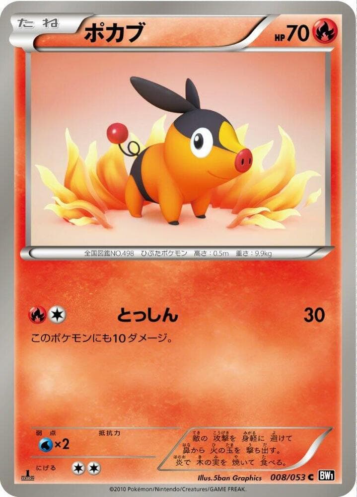 Tepig 008
