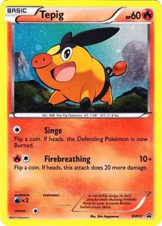 Tepig BW07 Normal