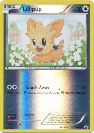 Lillipup BW52 Normal