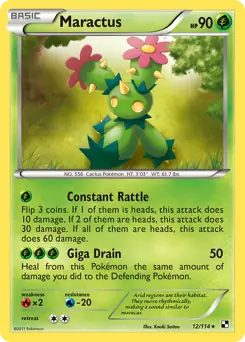 Maractus 12 Normal