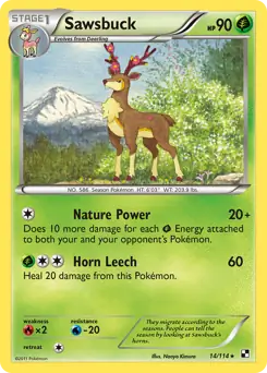 Sawsbuck 14 Normal
