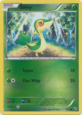 Snivy Reverse Holo 1