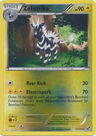Zebstrika Reverse Holo 43