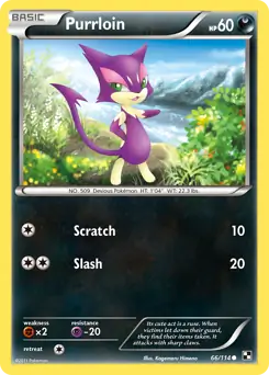 Purrloin 66 Normal