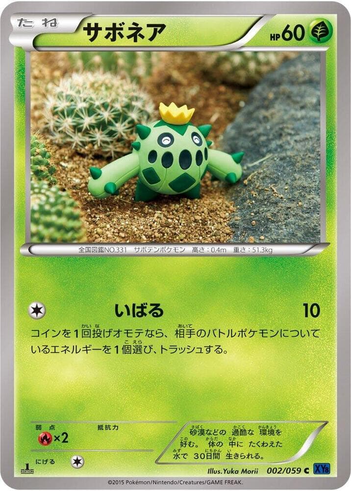 Cacnea 2