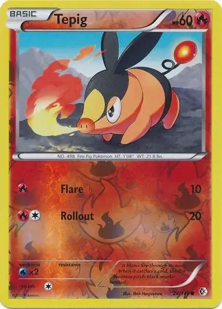 Tepig Reverse Holo 24 Normal