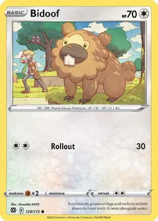 Bidoof 120 Normal
