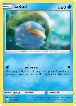Lotad 36