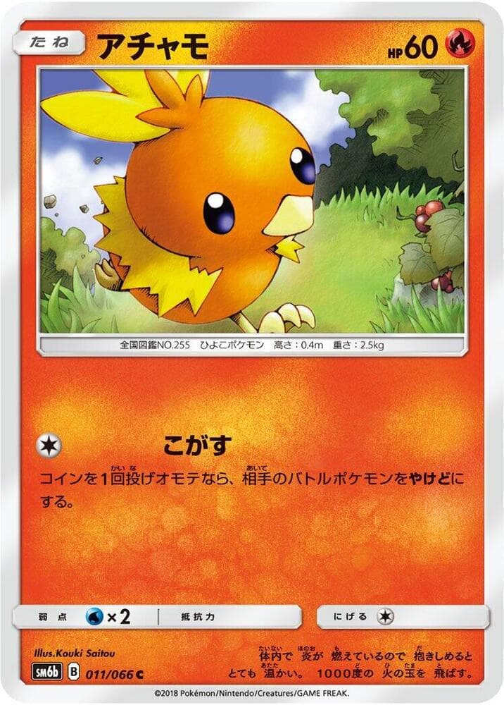 Torchic 011 Normal