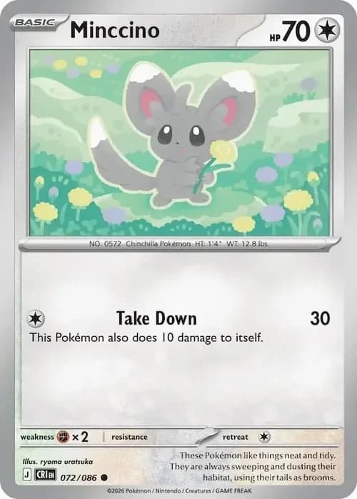 Minccino 072 Normal