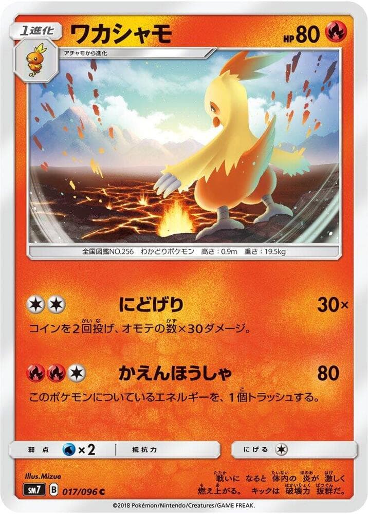 Combusken 017 Normal