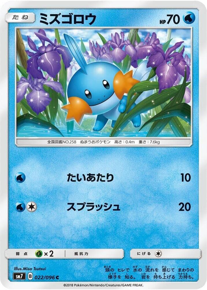 Mudkip 022 Normal