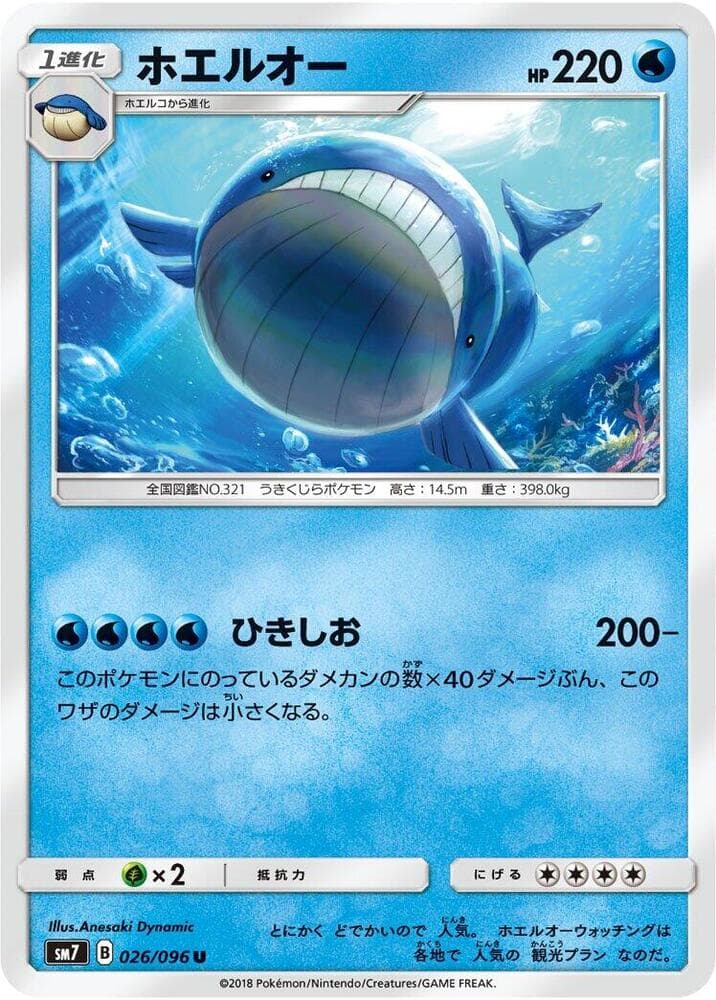 Wailord 026 Normal