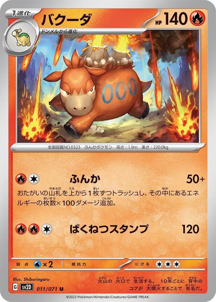 Camerupt 011