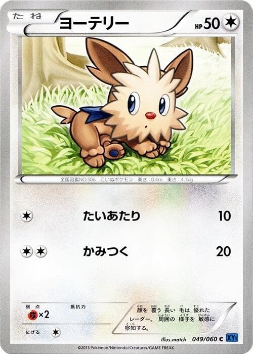 Lillipup 049 1st Edition