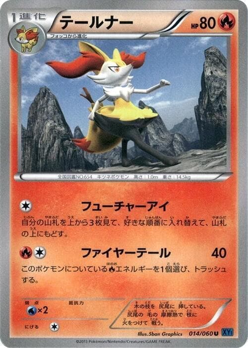 Braixen 14
