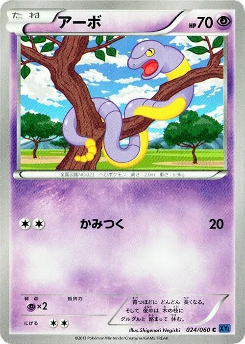 Ekans 24